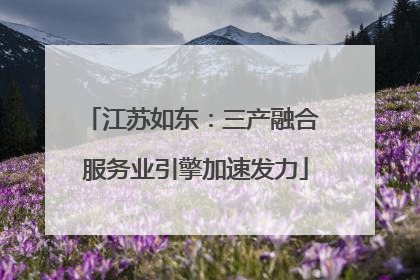 江苏如东：三产融合 服务业引擎加速发力