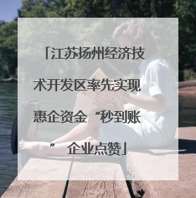 江苏扬州经济技术开发区率先实现惠企资金“秒到账” 企业点赞