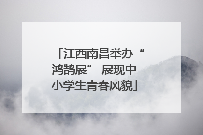 江西南昌举办“鸿鹄展” 展现中小学生青春风貌