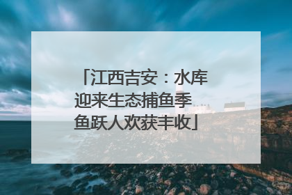 江西吉安：水库迎来生态捕鱼季 鱼跃人欢获丰收