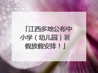 江西多地公布中小学（幼儿园）暑假放假安排！