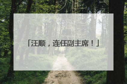 汪顺，连任副主席！