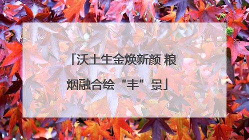 沃土生金焕新颜 粮烟融合绘“丰”景