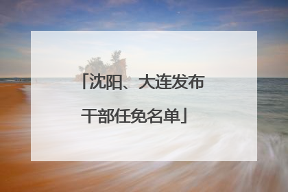 沈阳、大连发布干部任免名单