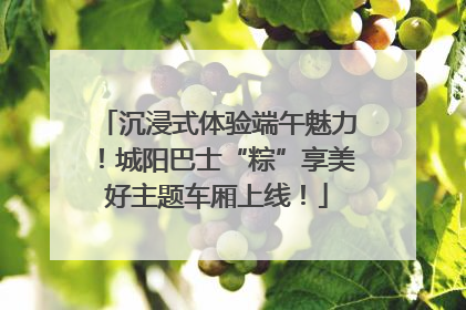 沉浸式体验端午魅力！城阳巴士“粽”享美好主题车厢上线！