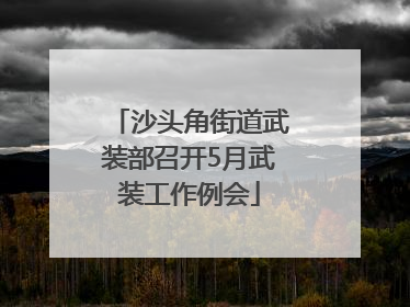 沙头角街道武装部召开5月武装工作例会
