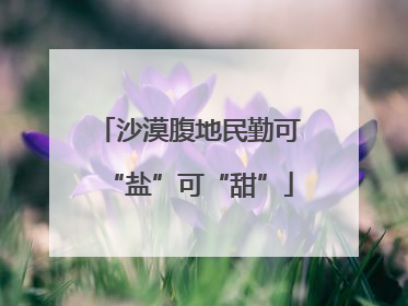 沙漠腹地民勤可“盐”可“甜”