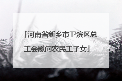 河南省新乡市卫滨区总工会慰问农民工子女
