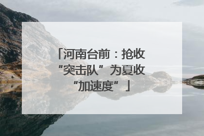 河南台前：抢收“突击队”为夏收“加速度”