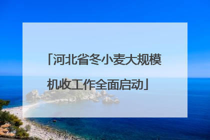 河北省冬小麦大规模机收工作全面启动