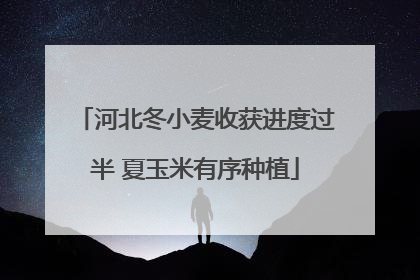河北冬小麦收获进度过半 夏玉米有序种植