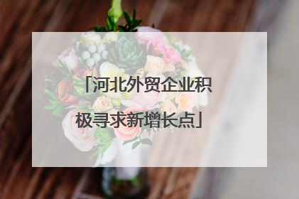 河北外贸企业积极寻求新增长点