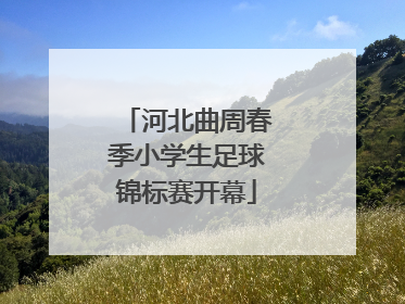 河北曲周春季小学生足球锦标赛开幕