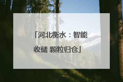河北衡水：智能收储 颗粒归仓
