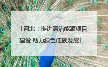 河北：推进清洁能源项目建设 助力绿色低碳发展