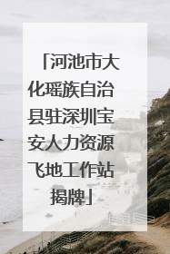 河池市大化瑶族自治县驻深圳宝安人力资源飞地工作站揭牌