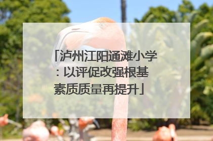 泸州江阳通滩小学：以评促改强根基 素质质量再提升