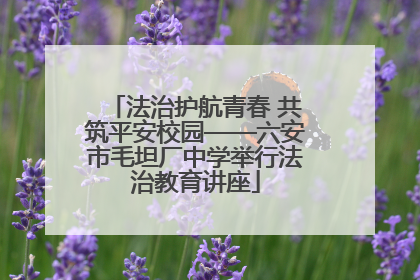 法治护航青春 共筑平安校园——六安市毛坦厂中学举行法治教育讲座