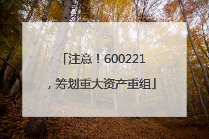 注意！600221，筹划重大资产重组