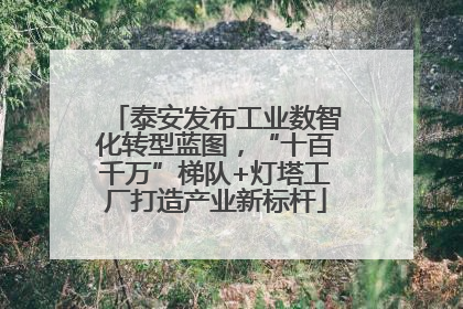 泰安发布工业数智化转型蓝图，“十百千万”梯队+灯塔工厂打造产业新标杆