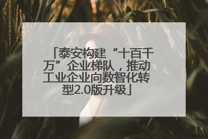 泰安构建“十百千万”企业梯队，推动工业企业向数智化转型2.0版升级