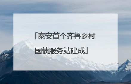 泰安首个齐鲁乡村国债服务站建成