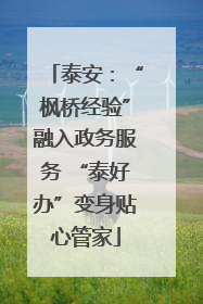 泰安：“枫桥经验”融入政务服务 “泰好办”变身贴心管家