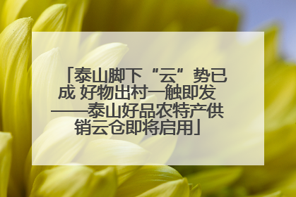泰山脚下“云”势已成 好物出村一触即发——泰山好品农特产供销云仓即将启用