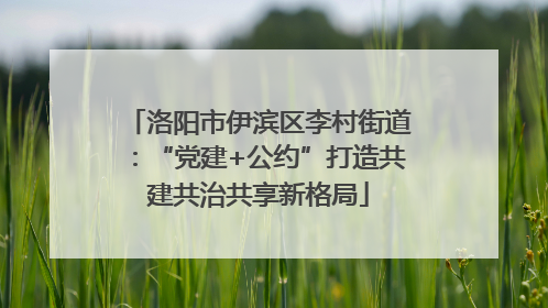 洛阳市伊滨区李村街道：“党建+公约”打造共建共治共享新格局