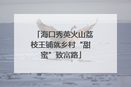 海口秀英火山荔枝王铺就乡村“甜蜜”致富路