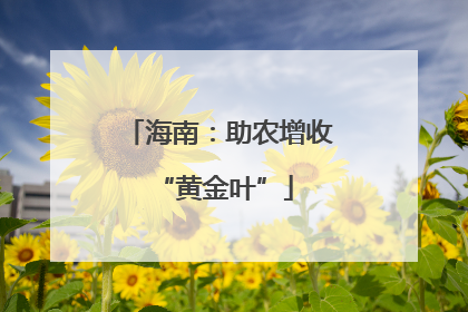 海南：助农增收 “黄金叶”