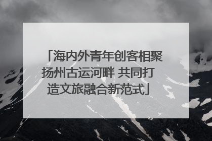 海内外青年创客相聚扬州古运河畔 共同打造文旅融合新范式