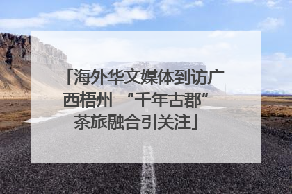 海外华文媒体到访广西梧州 “千年古郡”茶旅融合引关注