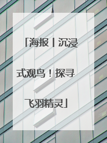海报丨沉浸式观鸟！探寻飞羽精灵