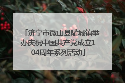 济宁市微山县驩城镇举办庆祝中国共产党成立104周年系列活动