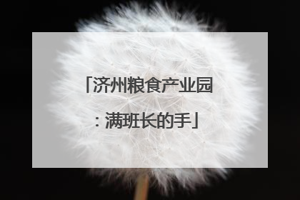 济州粮食产业园：满班长的手
