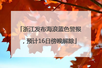浙江发布海浪蓝色警报，预计16日傍晚解除