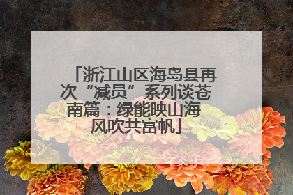 浙江山区海岛县再次“减员”系列谈苍南篇：绿能映山海 风吹共富帆