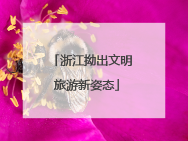 浙江拗出文明旅游新姿态