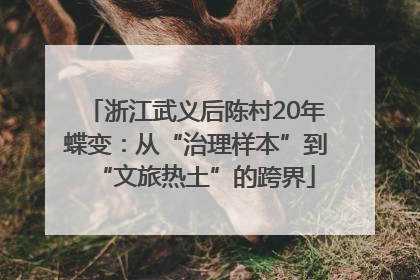 浙江武义后陈村20年蝶变：从“治理样本”到“文旅热土”的跨界