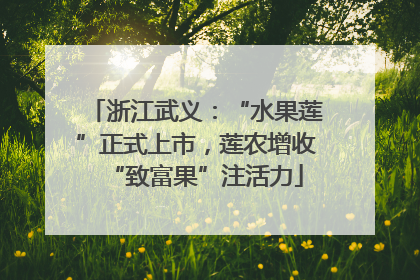 浙江武义：“水果莲”正式上市，莲农增收“致富果”注活力