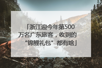 浙江迎今年第500万名广东旅客，收到的“锦鲤礼包”都有啥