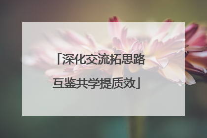 深化交流拓思路 互鉴共学提质效