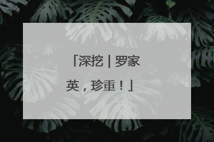 深挖｜罗家英，珍重！