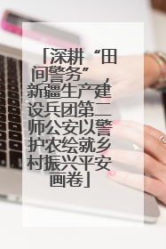 深耕“田间警务”，新疆生产建设兵团第二师公安以警护农绘就乡村振兴平安画卷