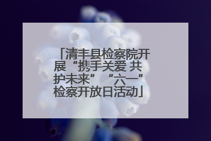 清丰县检察院开展“携手关爱 共护未来”“六一”检察开放日活动