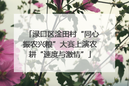 渌口区淦田村“同心振农兴粮”大赛上演农耕“速度与激情”