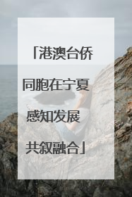 港澳台侨同胞在宁夏感知发展 共叙融合