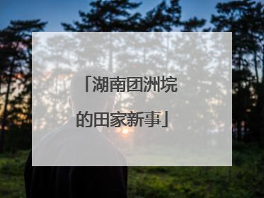 湖南团洲垸的田家新事