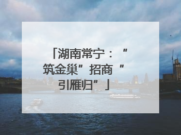 湖南常宁：“筑金巢”招商“引雁归”